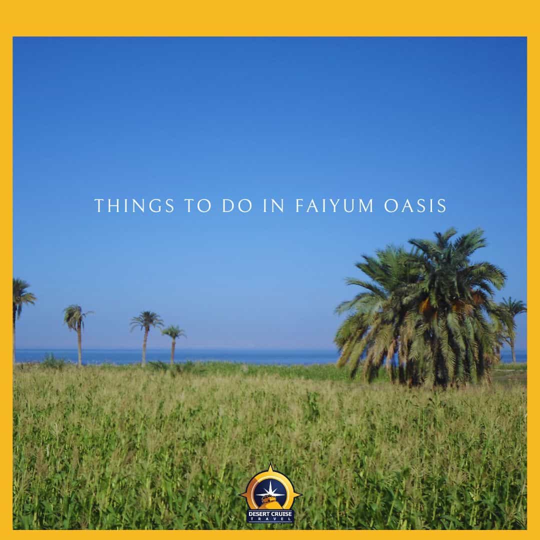Fayoum Oasis