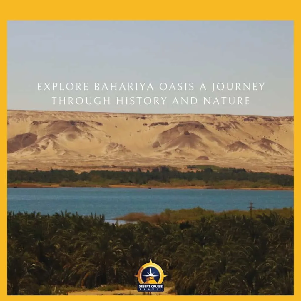 Bahariya Oasis Egypt