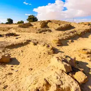 Bahariya Oasis Egypt