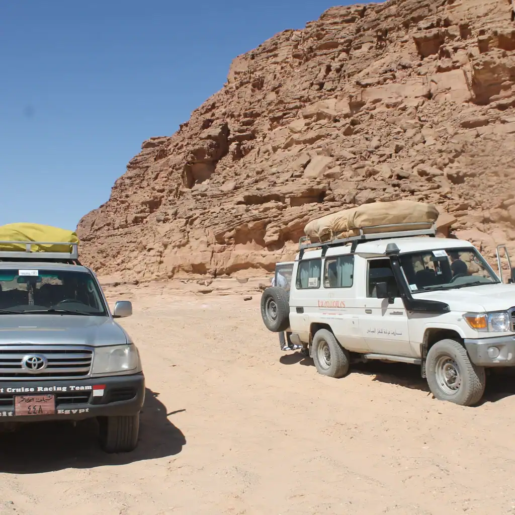 Desert Safari