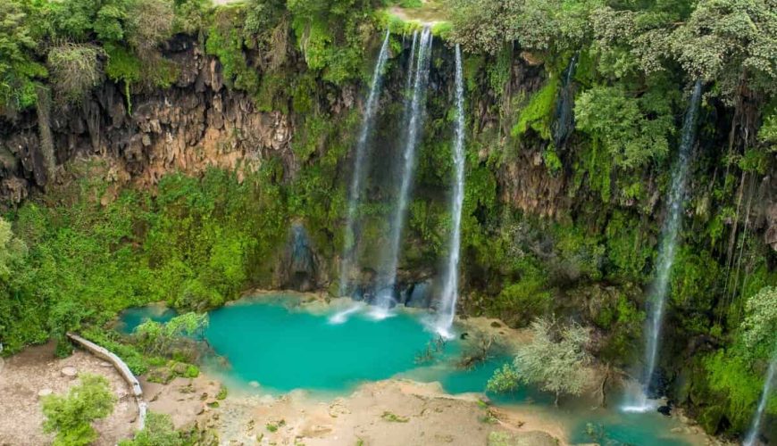 Salalah Oman | Unveiling Oman’s Hidden Paradise 8 Salalah, Oman