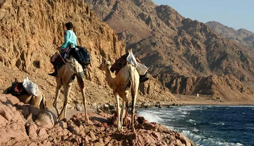 Discover Abu Galum