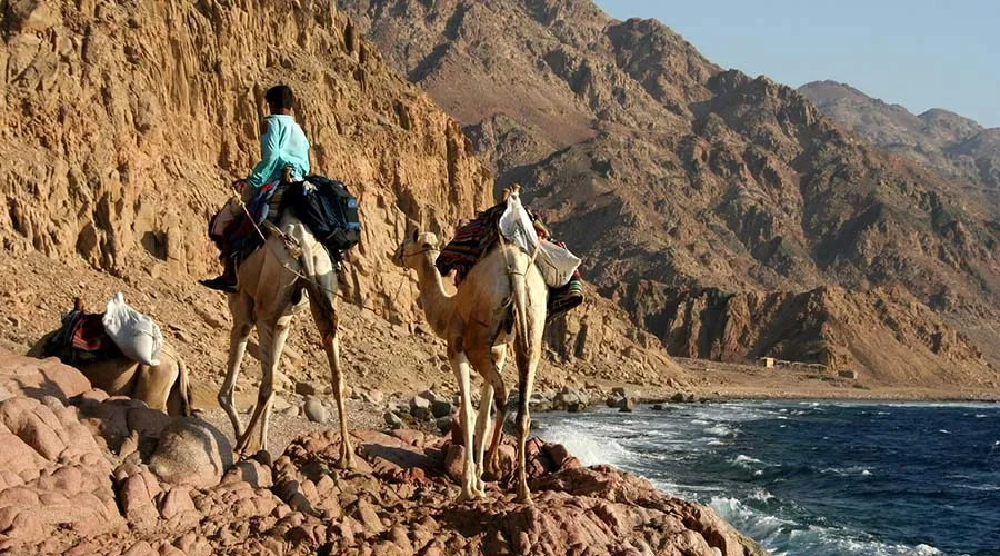 Discover Abu Galum