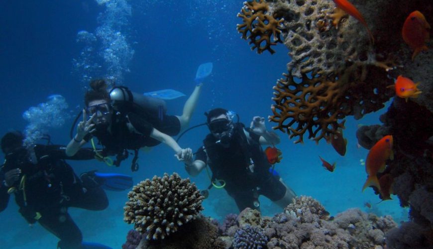 Snorkeling in the Red Sea | A Paradise Beneath the Waves 5 Snorkeling in the Red Sea