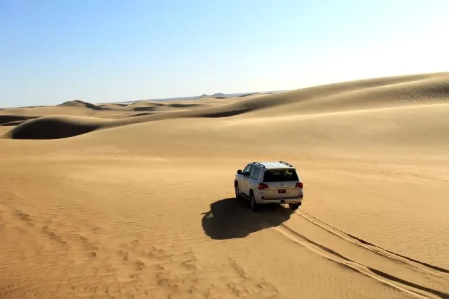white desert tour