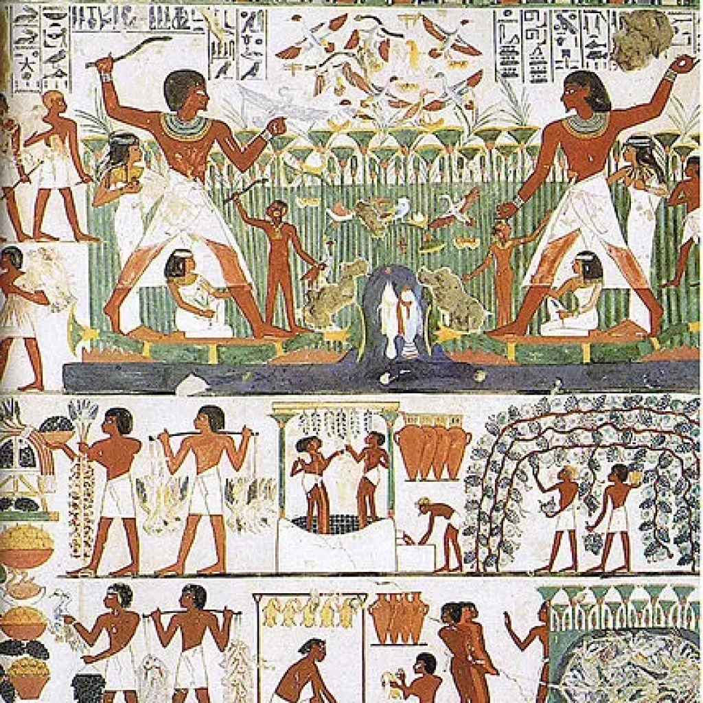 new kingdom