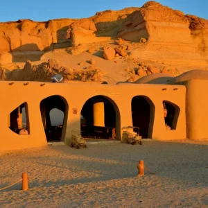 Safari Tours Egypt 25 Wadi El Hitan