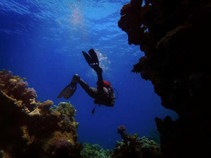 best snorkeling egypt red sea